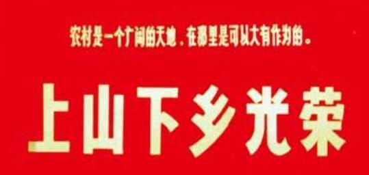小程序下乡